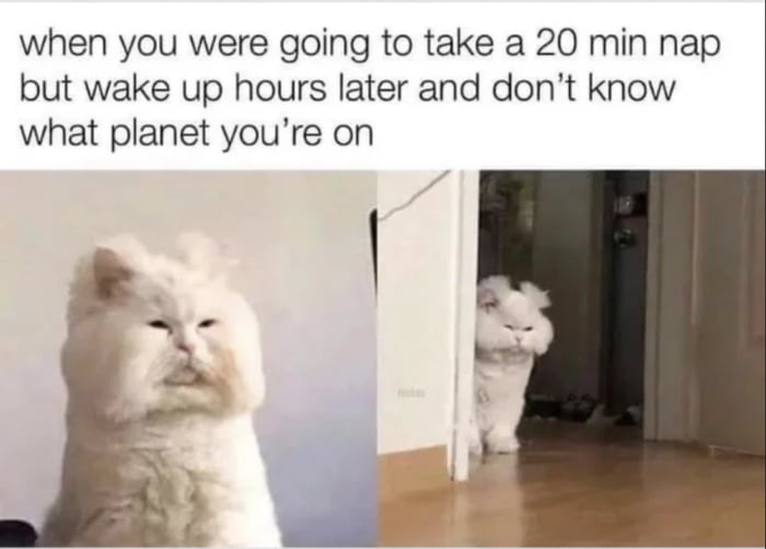 when you were going to take a 20 min nap but wake up hours later and dont know what planet youre on