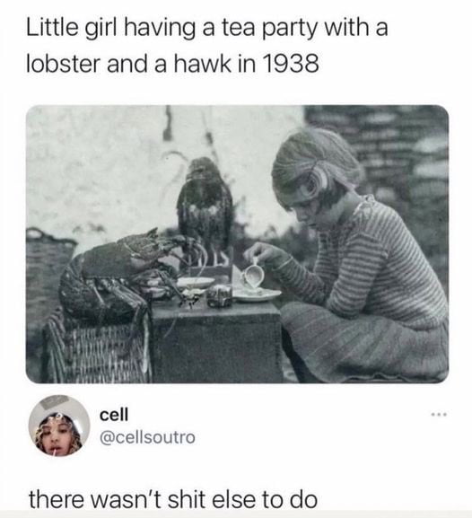 Little girl having a tea party with a lobster and a hawk in 1938 o a cell there wasnt shit else to do