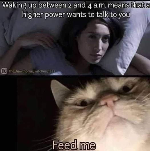 Waking up between 2 and 4 am meansithia higher power wants to talk to youl