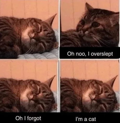 Oh noo overslept Oh forgot Im a cat