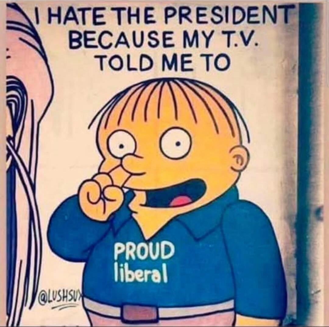 I HATE THE PRESIDENT BECAUSE MY T.V. TOLD ME TO PROUD liberal