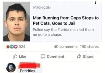 i Patchcom Man Running from Cops Stops to Pet Cats Goes to Jail Police say the Flarida man led them on quite a chase 00924 40 comments 190 shares o Like O comment A Share O Priorities