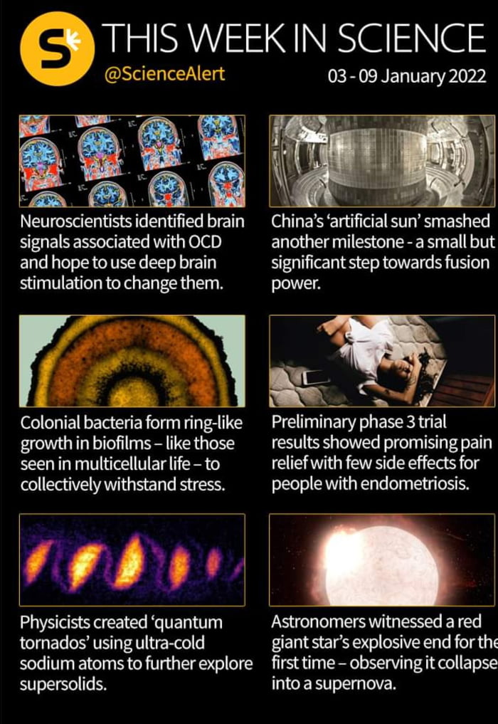 THIS WEEKIN SCIENCE ERVENELNEPIrY ScienceAlert Neuroscientists identified brain B EINERVE e T Teleh and hope to use deep brain stimulation to change them Chinas artificial sun smashed another milestone a small but significant step towards fusion power vy Colonial bacteria form ring like growth in biofilms like those seen in multicellular life to collectively withstand stress ZEERT I ESETGEN result