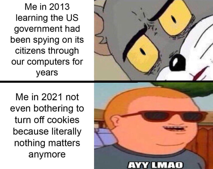 Me in 2013 learning the US government had been spying on its citizens through our computers for years Me in 2021 not even bothering to turn off cookies because literally nothing matters anymore