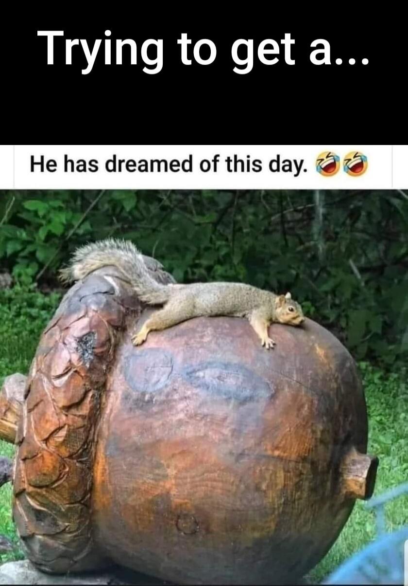 Trying to get a... He has dreamed of this day. 😂🤣