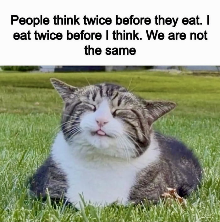 People think twice before they eat. I eat twice before I think. We are not the same