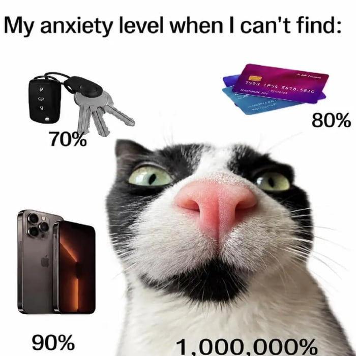 My anxiety level when I can't find: keys 70%, credit cards 80%, phone 90%, and a cat 1,000,000%.