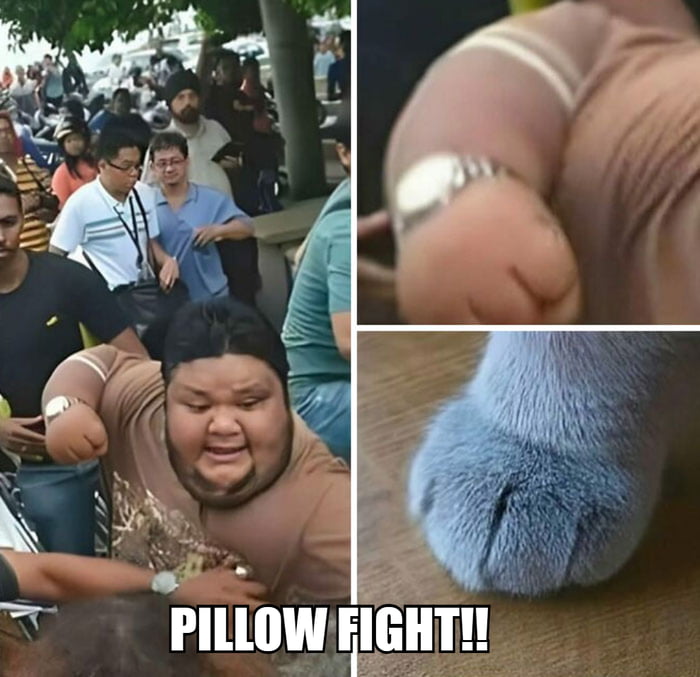 PILLOW FIGHT!!