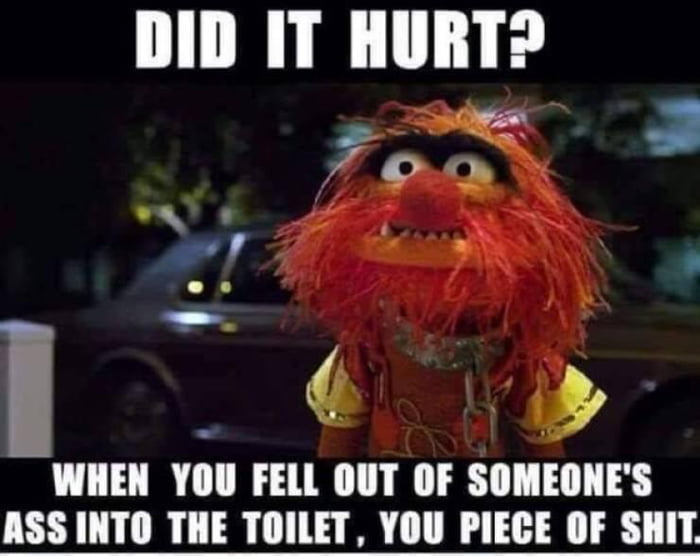 DID IT HURT? WHEN YOU FELL OUT OF SOMEONE'S ASS INTO THE TOILET, YOU PIECE OF SHIT.