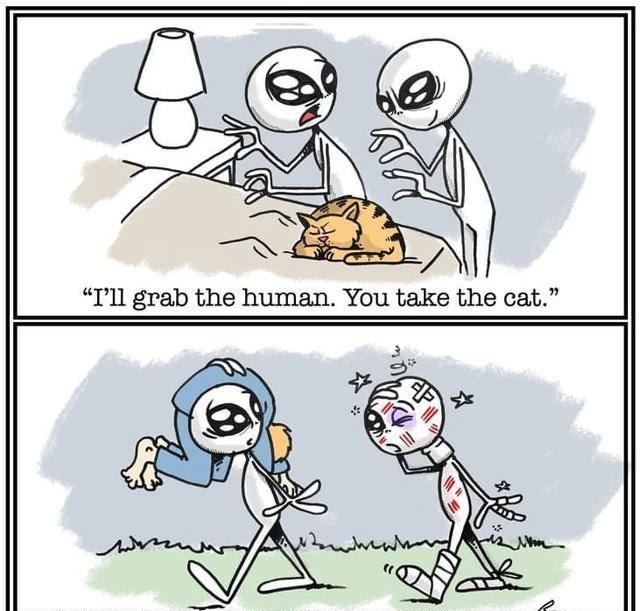 TIll grab the human You take the cat
