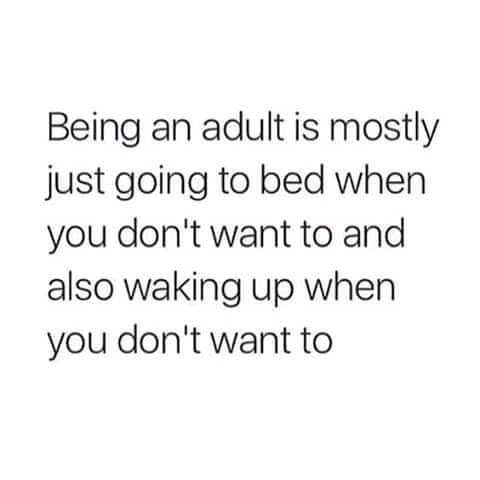 Being an adult is mostly just going to bed when you dont want to and also waking up when you dont want to