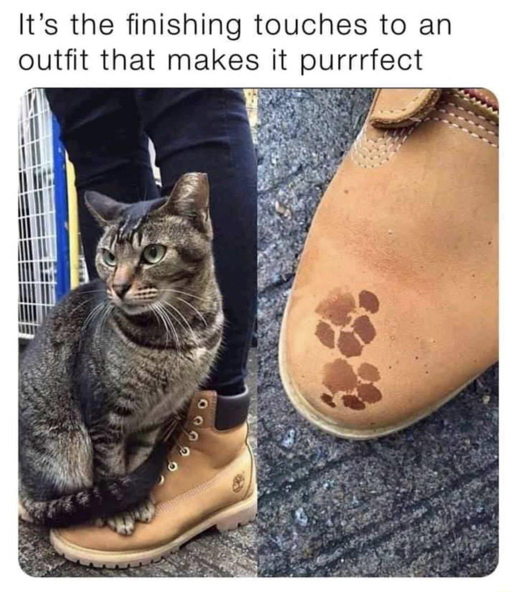 Its the finishing touches to an outfit that makes it purrrfect