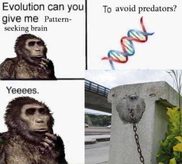 Evolution can you 7o avoid predators give me Pattern seeking brain