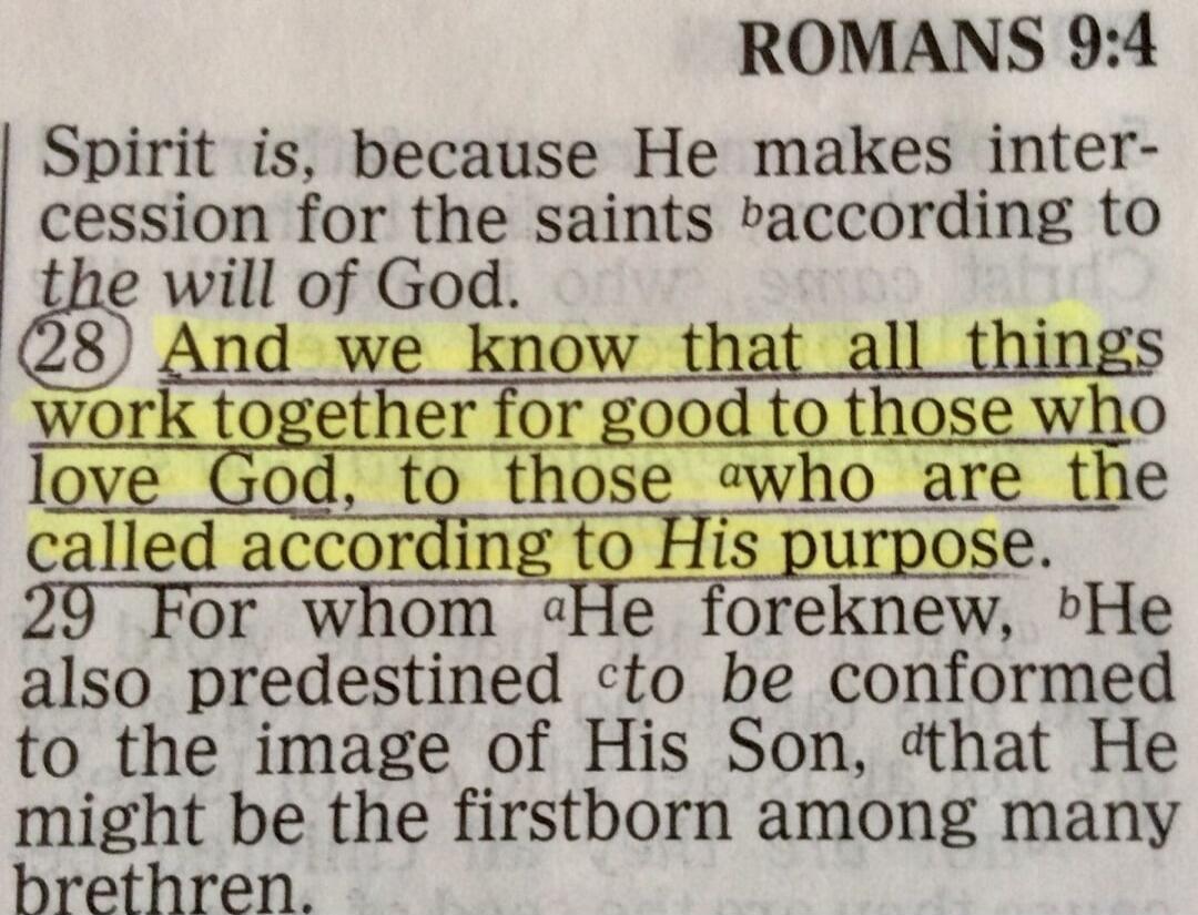 ROMANS 9:4 Spirit is, because He makes intercession for the saints according to the will of God. 28 And we know that all things work together for good to those who love God, to those who are the called according to His purpose. 29 For whom He foreknew, He also predestined to be conformed to the image of His Son, that He might be the firstborn among
