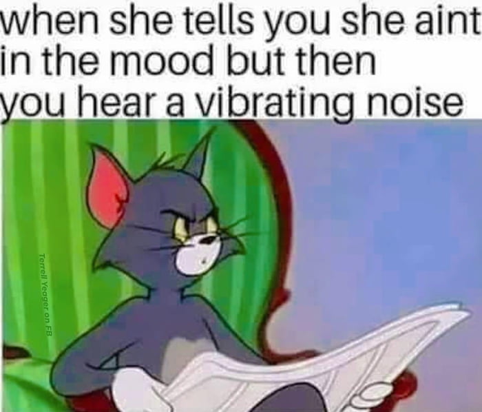 hen she tells you she aint n the mood but then you hear a vibrin noise