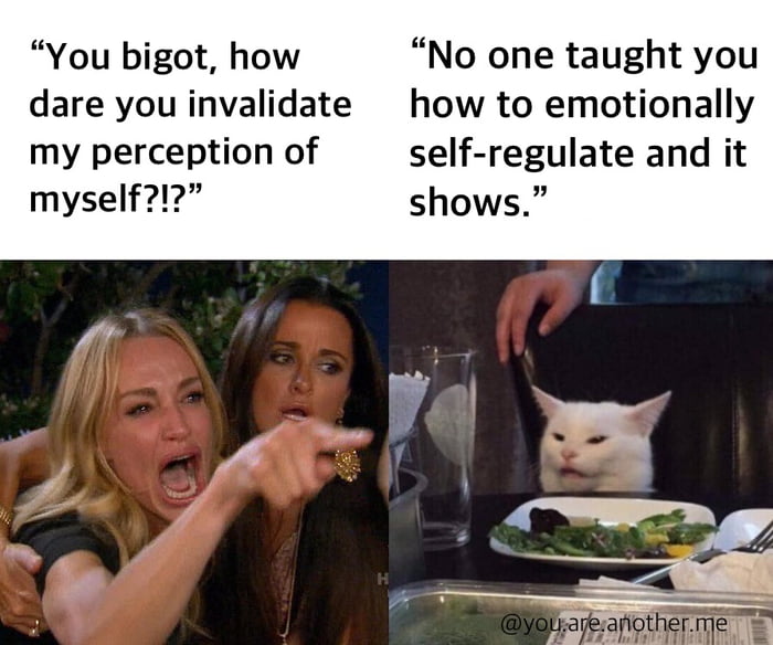 You bigot how No one taught you dare you invalidate how to emotionally my perception of self regulate and it myself1 shows
