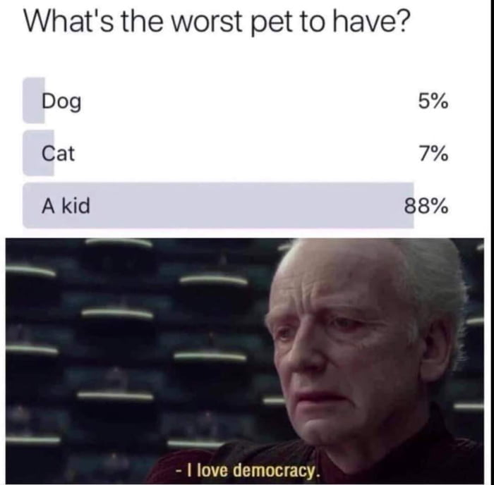Whats the worst pet to have Dog