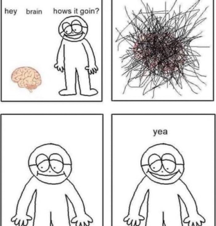 hey brain hows it goin o b Y yea