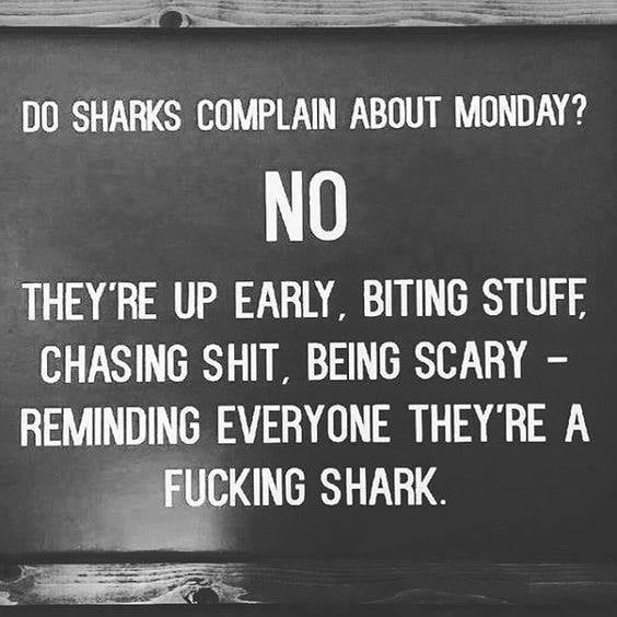 DO SHARKS COMPLAIN ABOUT MONDAY NO THEYRE UP EARLY BITING STUFE CHASING SHIT BEING SCARY REMINDING EVERYONE THEYRE A CKING SHARK