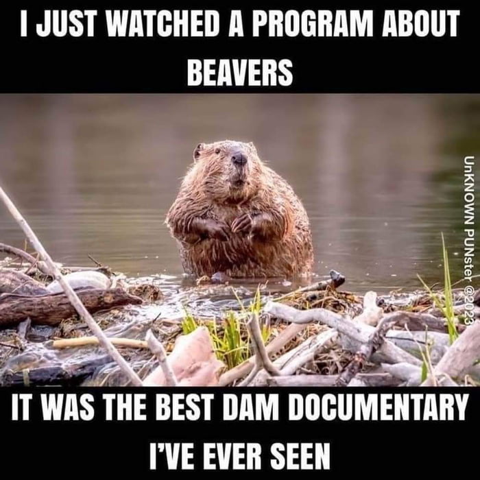 1 JUST WATCHED A PROGRAM ABOUT BERVERS WAS THE BEST DAM DOCUMENTARY IVE EVER SEEN