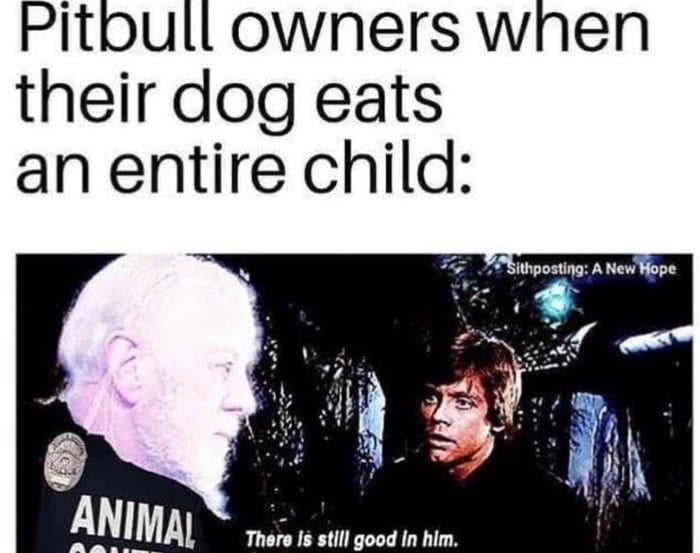 Pitoull owners when their dog eats an entire child