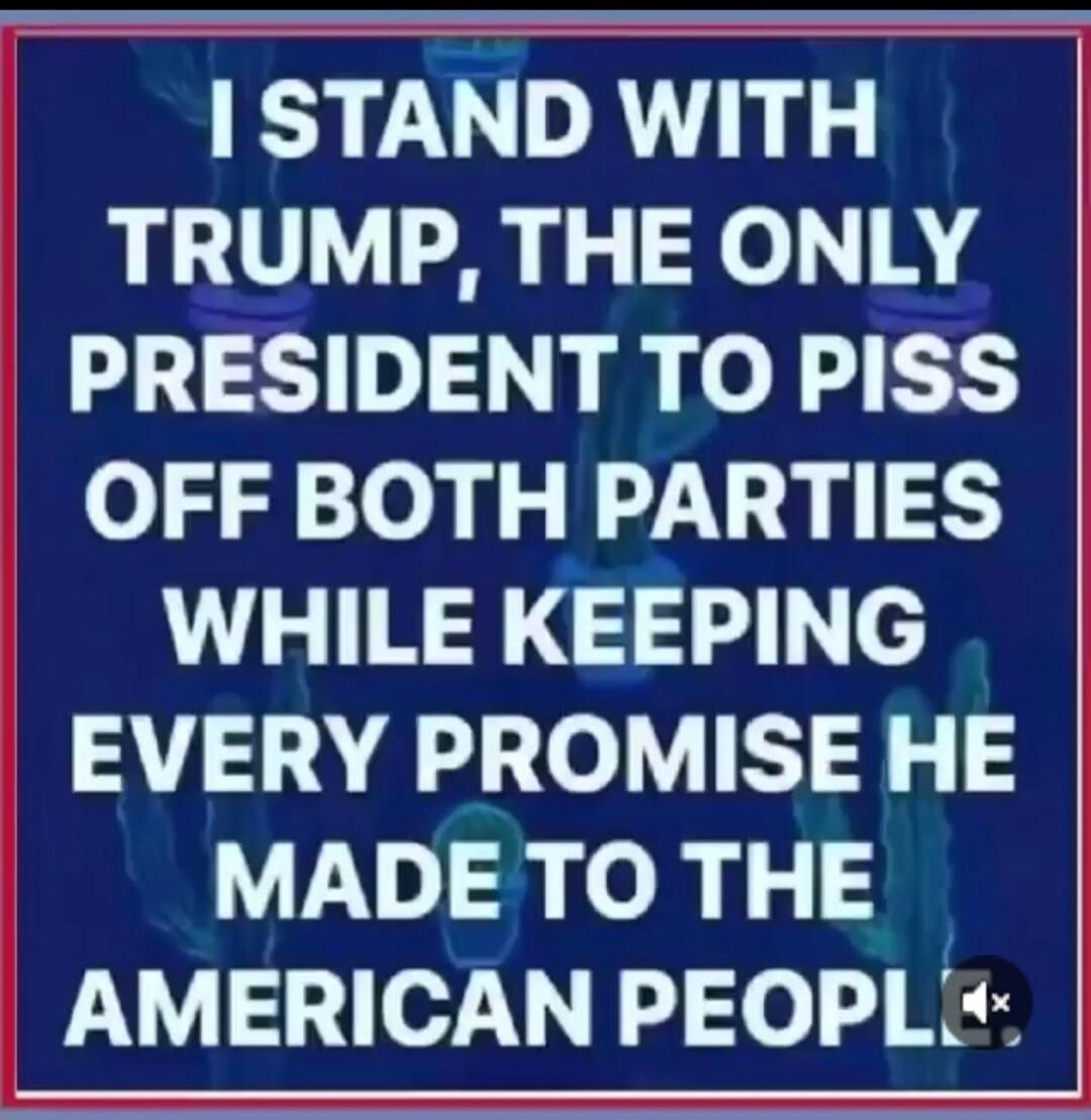 I STAND WITH TRUMP, THE ONLY PRESIDENT TO PISS OFF BOTH PARTIES WHILE KEEPING EVERY PROMISE HE MADE TO THE AMERICAN PEOPLE