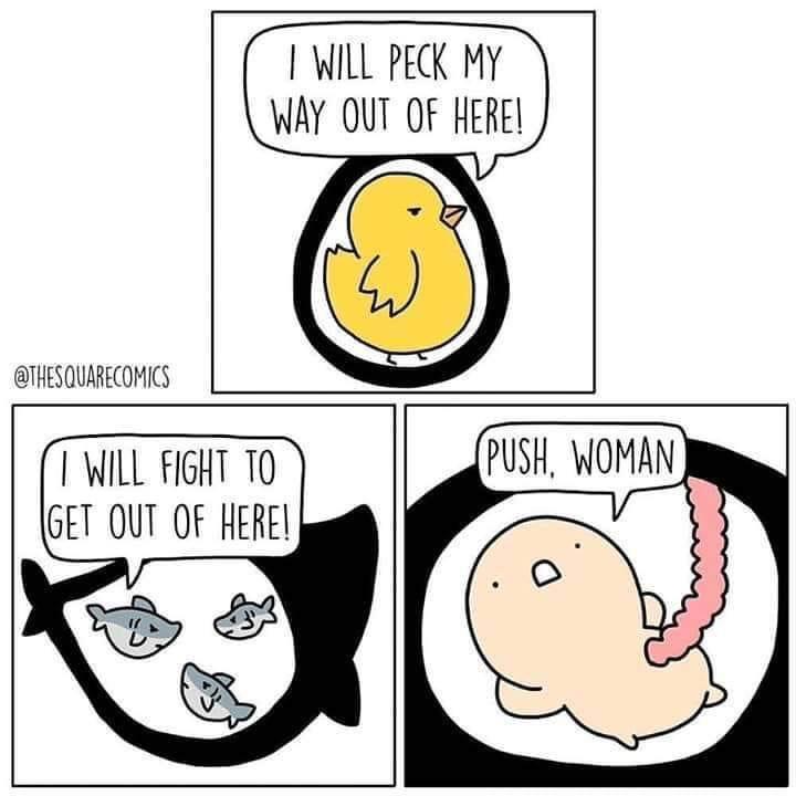 WILL PECK MY WAY OUT OF HERE THESQUARECOMICS