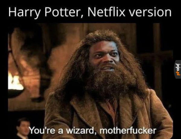 Harry Potter Netflix version