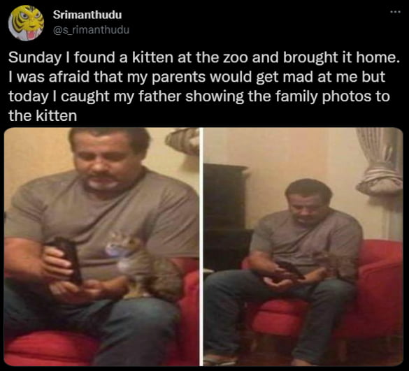 Srimanthudu J s rimanthudu Sunday found a kitten at the zoo and brought it home was afraid that my parents would get mad at me but today caught my father showing the family photos to the kitten