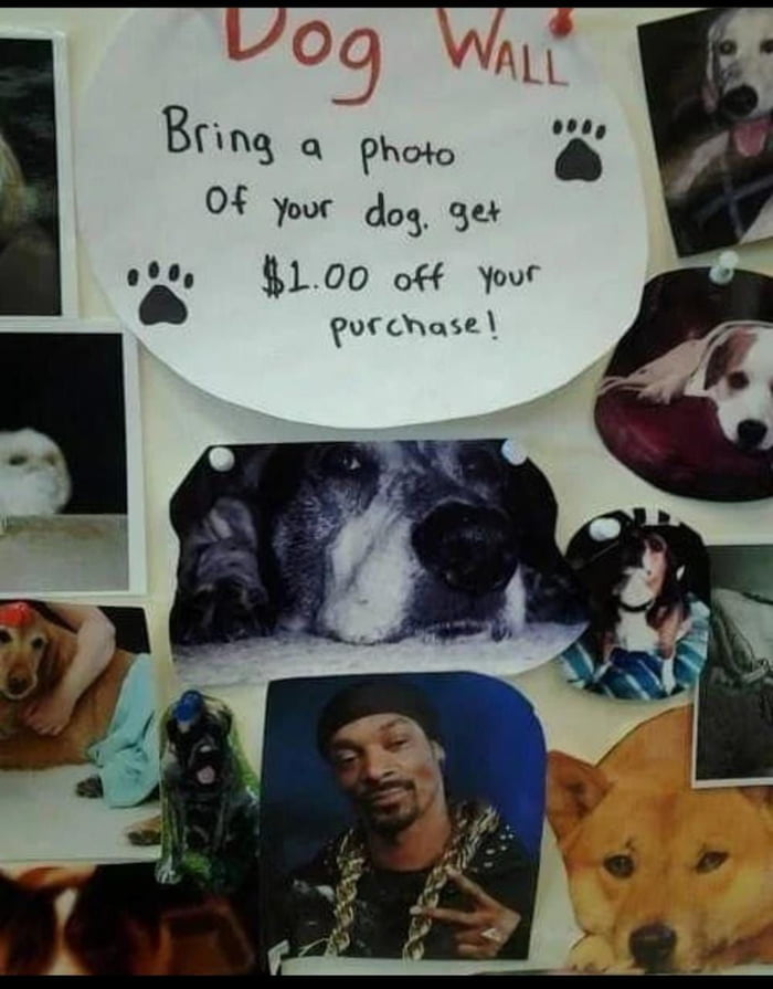 Bng a photo 0 your dog get 08 100 off Your purchase