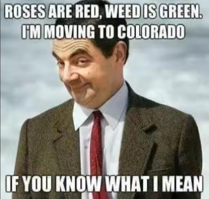 ROSES ARE RED, WEED IS GREEN. I'M MOVING TO COLORADO IF YOU KNOW WHAT I MEAN