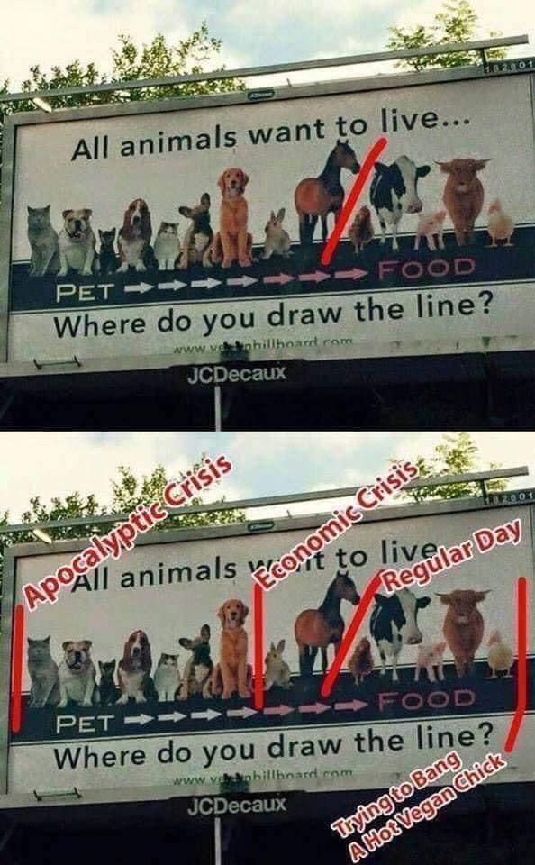 imals want to live o L Where do you draw the line hillhoard com 2 5 i Where do you ohillhnard com