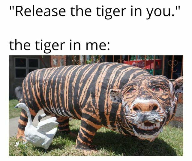 Release the tiger in you the tiger in me