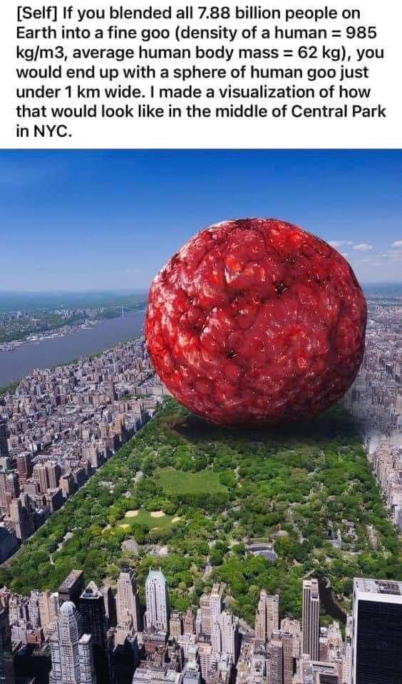 Self If you blended all 788 billion people on Earth into a fine goo density of a human 985 kgm3 average human body mass 62 kg you would end up with a sphere of human goo just under 1 km wide made a visualization of how that would look like in the middle of Central Park inNYC