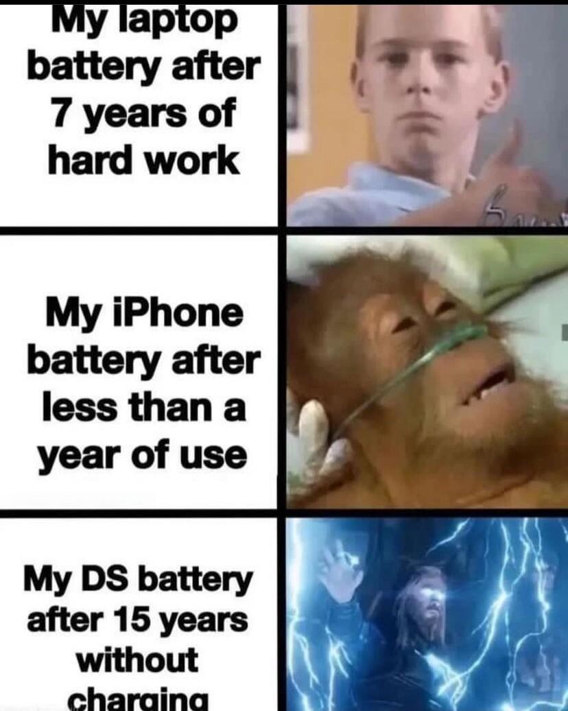 My iPhone battery after less than a year of use My DS battery after 15 years without charaina