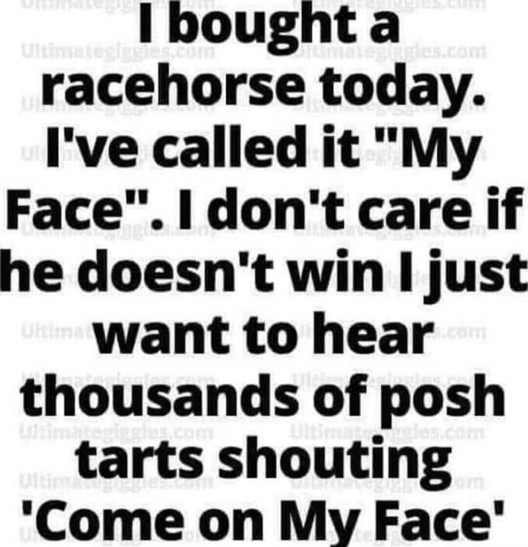 I bought a racehorse today. I've called it 