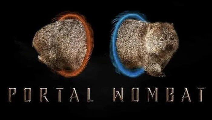 PORTAL WOMBAT