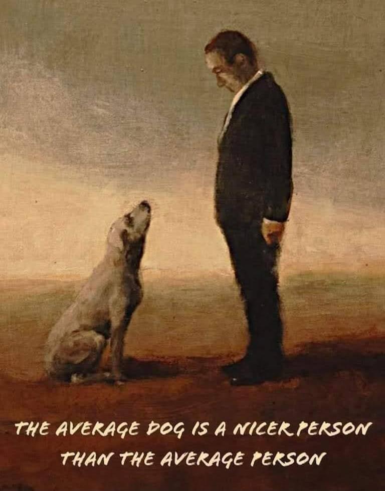 THE AVERAGE DOG IS A NICER PERSON THAN THE AVERAGE PERSON