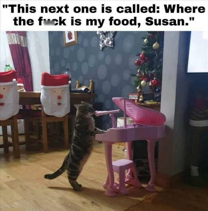 This next one is called Where the fuck is my food Susan