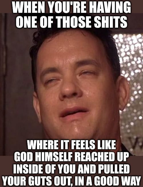 WHEN YOURE HAVING ONE OF THOSE SHITS WHERE IT FEELS LIKE GOD HIMSELF REACHED UP INSIDE OF YOU AND PULLED YOUR GUTS OUT IN A GOOD WAY