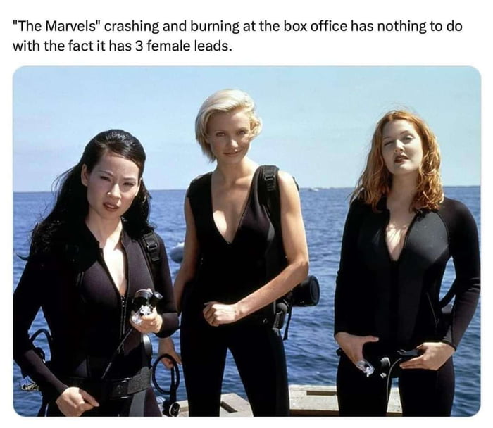 The Marvels crashing and buming at the box office has nothing to do with the fact it has 3 female leads