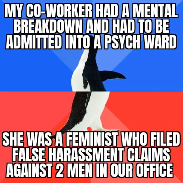 MYCOWORKERHADIRIMENTAL BREAKDOWN ANDIHRDTOIBE ADMITTEDINTO APSYCHWARD SHEWAS A FEMINISTWHO FILED FALSE HARASSMENTCLAIMS AGAINST 2 MENINOUROFFICE