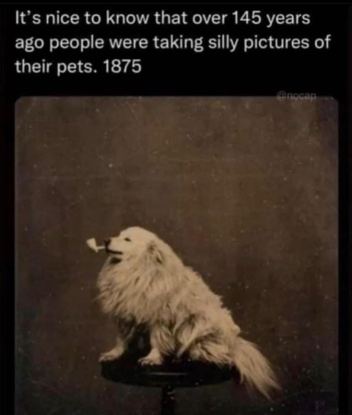 IR GG TIVR GE TR BLRVEETS ago people were taking silly pictures of their pets 1875