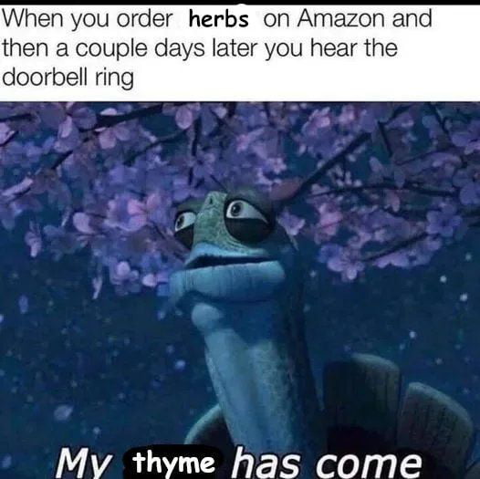 When you order herbs on Amazon and then a couple days later you hear the doorbell ring My thyme has come