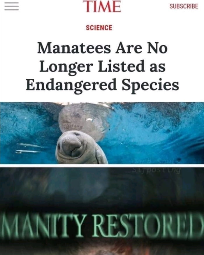 Manatees Are No Longer Listed as Endangered Species