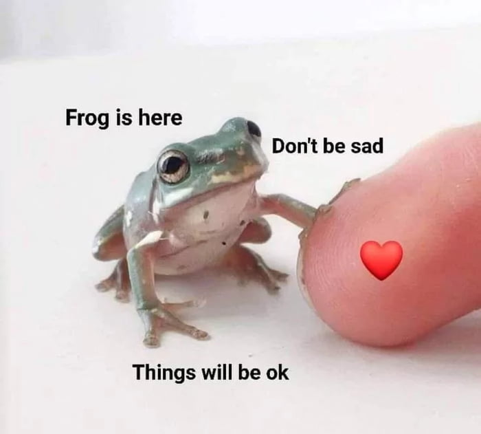 Frog is here Things will be ok
