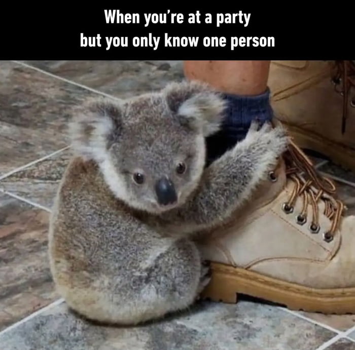 When youre at a party but you only know one person