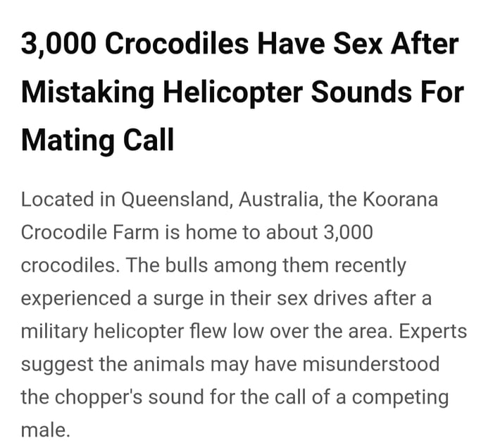 3000 Crocodiles Have Sex After Mistaking Helicopter Sounds For Mating Call Located in Queensland Australia the Koorana Crocodile Farm is home to about 3000 crocodiles The bulls among them recently experienced a surge in their sex drives after a military helicopter flew low over the area Experts suggest the animals may have misunderstood the choppers sound for the call of a competing male