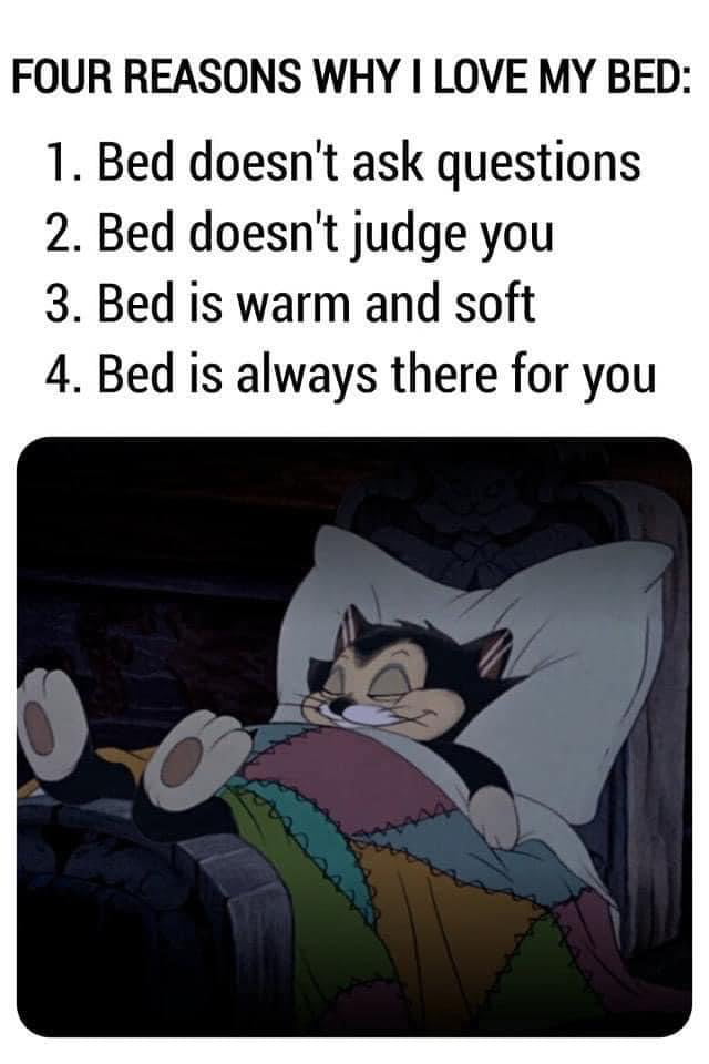 FOUR REASONS WHY LOVE MY BED 1 Bed doesnt ask questions 2 Bed doesnt judge you 3 Bed is warm and soft 4 Bed is always there for you