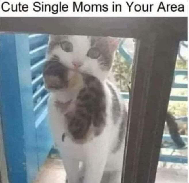 Cute Single Moms in Your Area